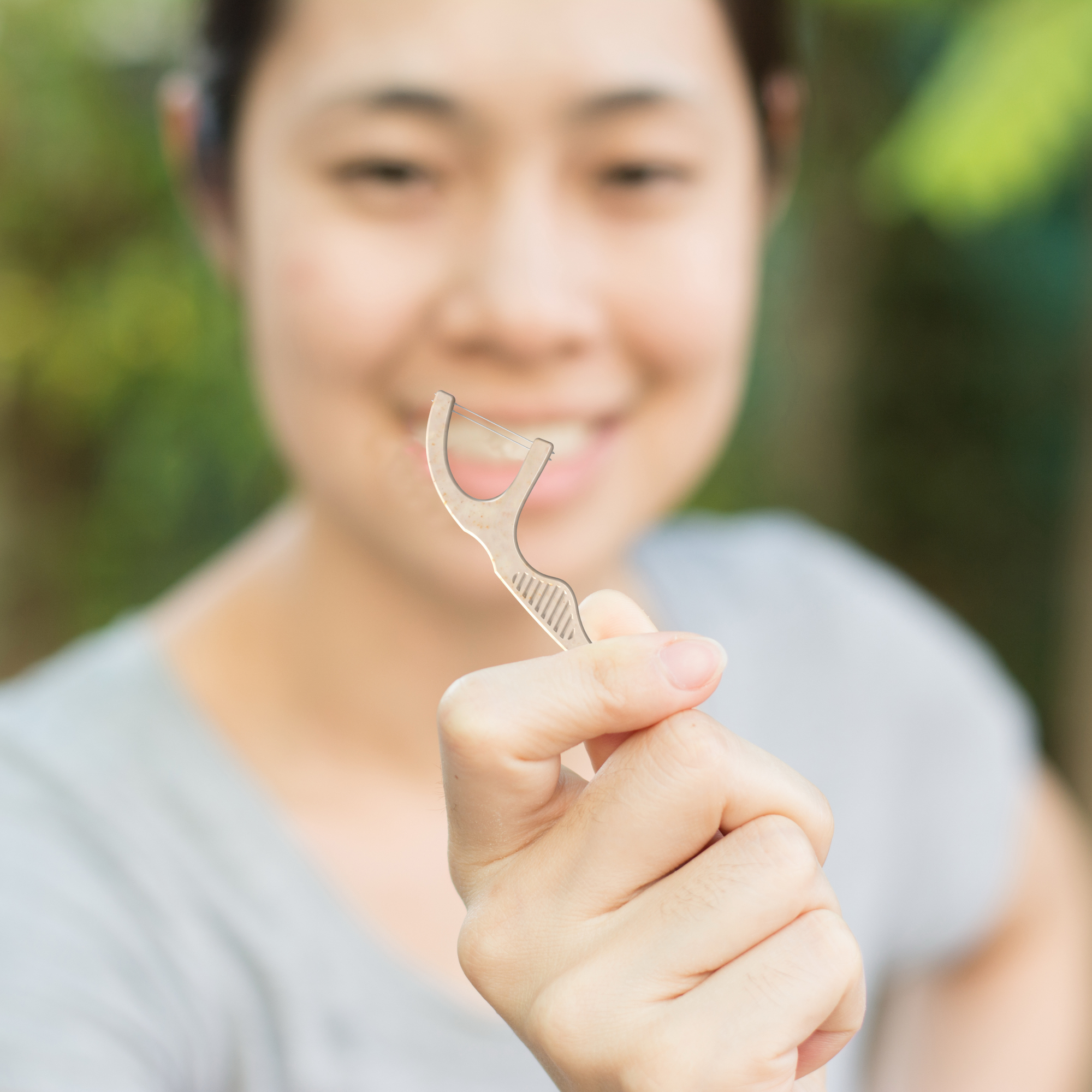 Floss Picks